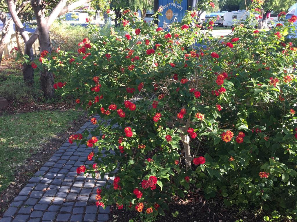 Observatory Guesthouse - Adults Only Busselton Esterno foto